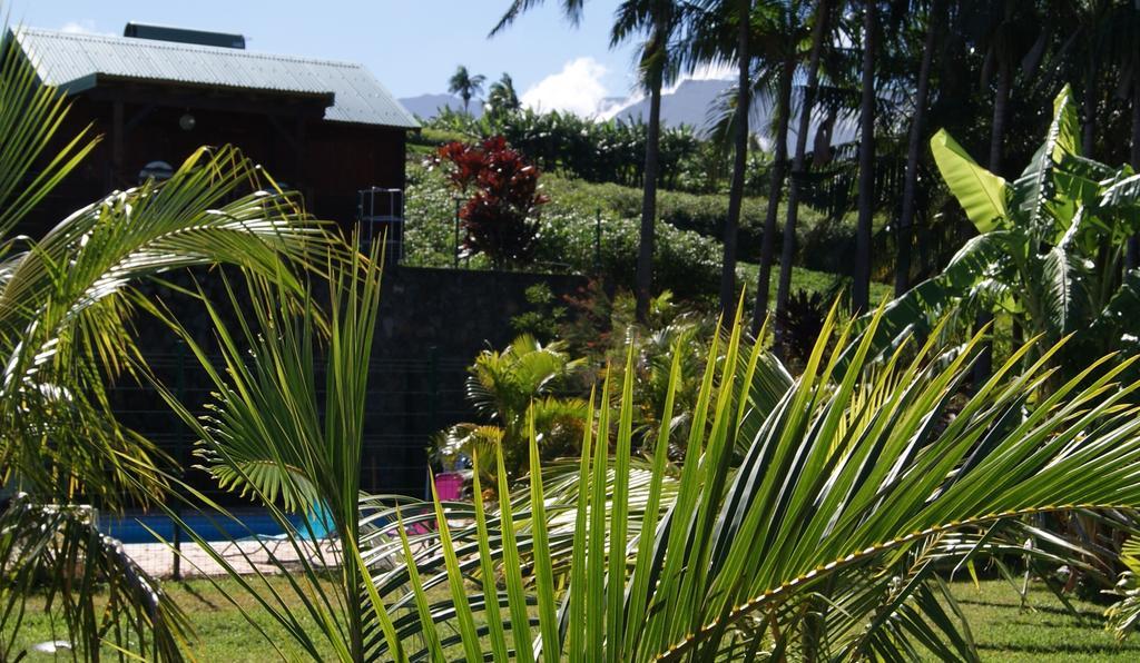 Les Bungalows Les Vanilliers, Sud Sauvage Avec Piscine Saint-Joseph Exteriér fotografie