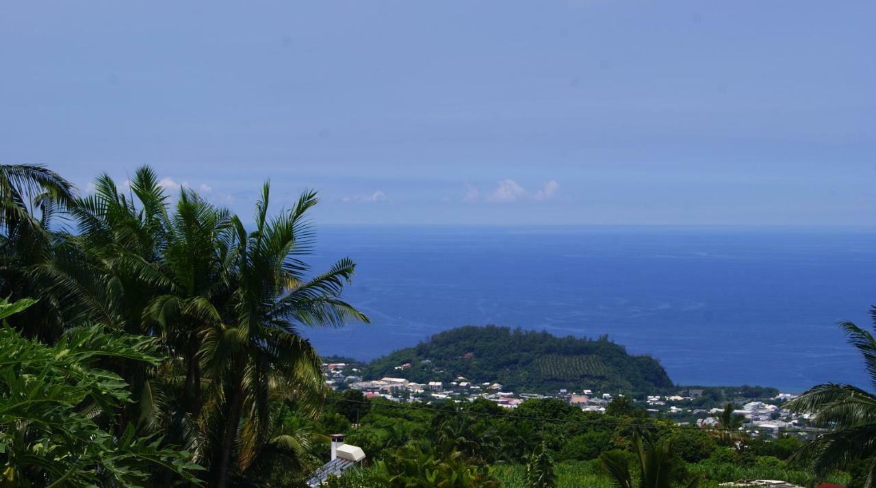 Les Bungalows Les Vanilliers, Sud Sauvage Avec Piscine Saint-Joseph Exteriér fotografie